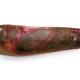 Simulated Burns – Προσομοιωμένα Εγκαύματα Simulated Burns – Προσομοιωμένα Εγκαύματα