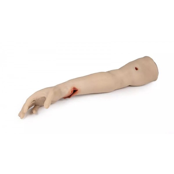 Trauma Arm Tasktrainer – Εκπαιδευτικό Μοντέλο Χεριού για Αντιμετώπιση Αιμορραγίας