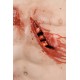 Trauma Training Torso – Εκπαιδευτικός Προπλάσμα Θώρακα για Τραύματα Trauma Training Torso – Εκπαιδευτικός Προπλάσμα Θώρακα για Τραύματα