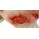 Trauma Training Torso – Εκπαιδευτικός Προπλάσμα Θώρακα για Τραύματα Trauma Training Torso – Εκπαιδευτικός Προπλάσμα Θώρακα για Τραύματα