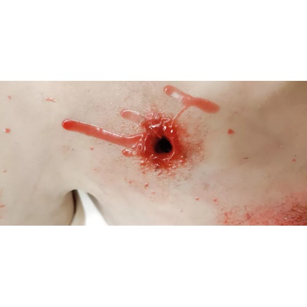 Trauma Training Torso – Εκπαιδευτικός Προπλάσμα Θώρακα για Τραύματα Trauma Training Torso – Εκπαιδευτικός Προπλάσμα Θώρακα για Τραύματα