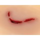 Wound Moulage "Cut Broken Bottle" – Προσομοίωση Κοπής από Σπασμένο Μπουκάλι Wound Moulage "Cut Broken Bottle" – Προσομοίωση Κοπής από Σπασμένο Μπουκάλι