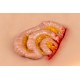Wound Moulage "Protruding Small Intestines" – Προσομοίωση Εξόδου Λεπτού Εντέρου από Κοιλιακό Τραύμα Wound Moulage "Protruding Small Intestines" – Προσομοίωση Εξόδου Λεπτού Εντέρου από Κοιλιακό Τραύμα