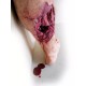 Emergency Lower Leg – Εκπαιδευτικό Μοντέλο Ποδιού με Τραύμα από Έκρηξη Emergency Lower Leg – Εκπαιδευτικό Μοντέλο Ποδιού με Τραύμα από Έκρηξη