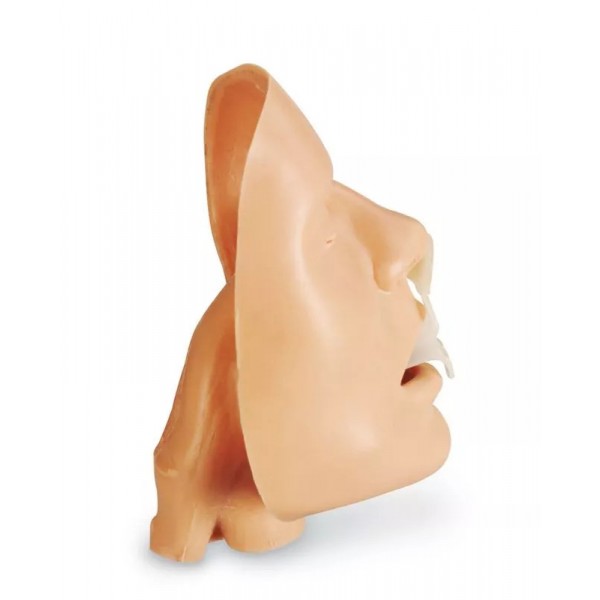 Προσομοιωτής Αεραγωγού (Airway Trainer)