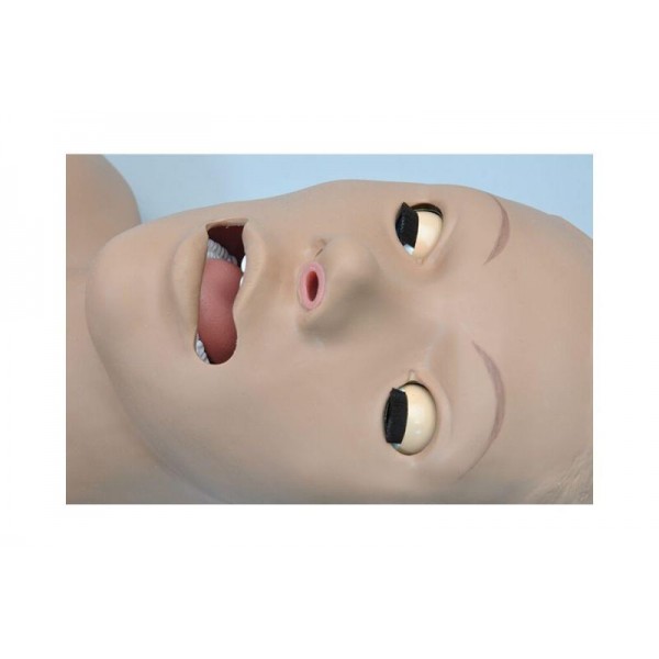 Προπλάσμα "CPR Skills Trainer Torso"