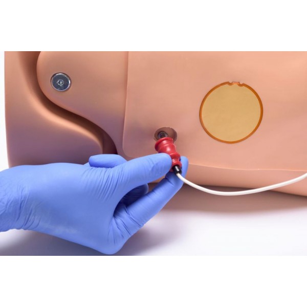 HAL® CPR+D – Εκπαιδευτής ΚΑΡΠΑ με Ανατροφοδότηση και Εκπαίδευση Απινίδωσης