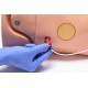 HAL® CPR+D – Εκπαιδευτής ΚΑΡΠΑ με Ανατροφοδότηση και Εκπαίδευση Απινίδωσης