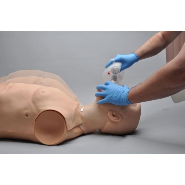 HAL® – Εκπαιδευτής Πολλαπλών Χρήσεων για Αεραγωγούς και Καρδιοπνευμονική Αναζωογόνηση