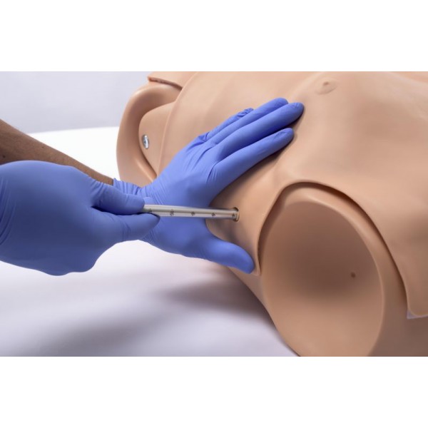 HAL® – Εκπαιδευτής Πολλαπλών Χρήσεων για Αεραγωγούς και Καρδιοπνευμονική Αναζωογόνηση