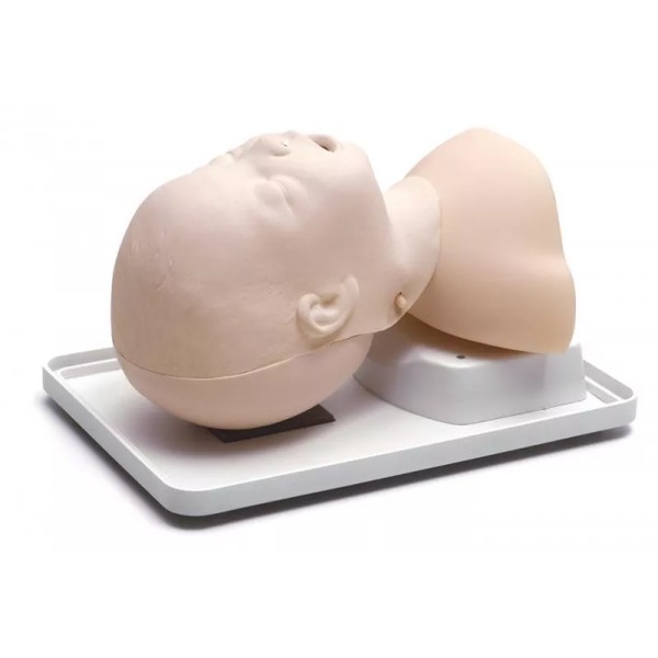 Εκπαιδευτής Διασωλήνωσης Νεογνού (Neonatal Intubation Trainer)