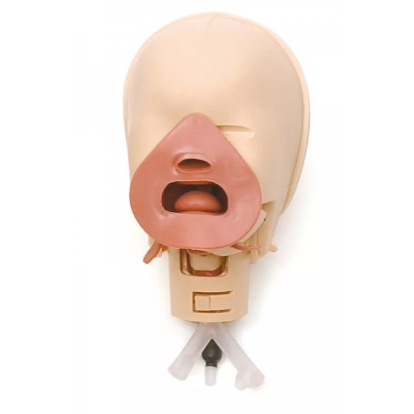 Εκπαιδευτής Διασωλήνωσης Νεογνού (Neonatal Intubation Trainer) Εκπαιδευτής Διασωλήνωσης Νεογνού (Neonatal Intubation Trainer)