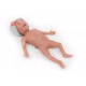 NENA Sim Preemie Xcel – Προσομοιωτής Πρόωρου Νεογνού