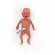 NENA Sim Preemie Xcel – Προσομοιωτής Πρόωρου Νεογνού