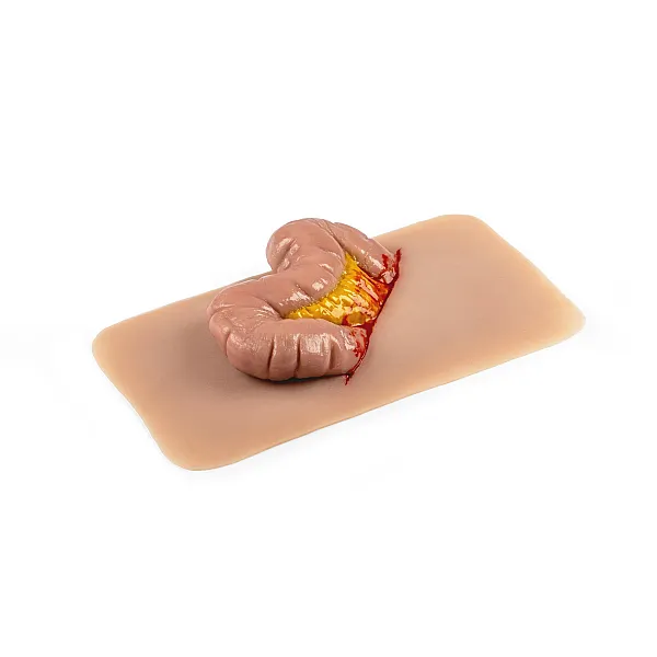 Wound Moulage "Protrusion of Large Intestines" – Προσομοίωση Εξόδου Εντέρου από Κοιλιακό Τραύμα