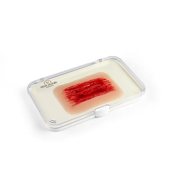 Wound Moulage "Abrasion" – Προσομοίωση Εκδοράς Wound Moulage "Abrasion" – Προσομοίωση Εκδοράς