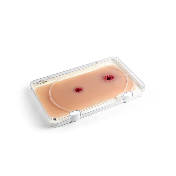 Wound Moulage – Τραύμα από Σφαίρα στο Χέρι με Λειτουργία Αιμορραγίας Wound Moulage – Τραύμα από Σφαίρα στο Χέρι με Λειτουργία Αιμορραγίας