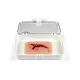 Wound Moulage "Laceration" – Προσομοίωση Ρήξης Δέρματος Wound Moulage "Laceration" – Προσομοίωση Ρήξης Δέρματος