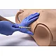 HAL® – Εκπαιδευτής Πολλαπλών Χρήσεων για Αεραγωγούς και Καρδιοπνευμονική Αναζωογόνηση