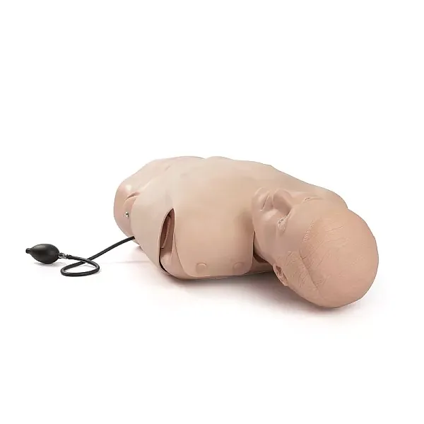 Pneumothorax Trainer – Εκπαιδευτικό Προπλάσμα Πνευμοθώρακα