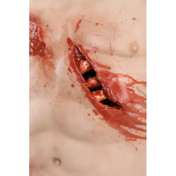 Trauma Training Torso – Εκπαιδευτικός Προπλάσμα Θώρακα για Τραύματα