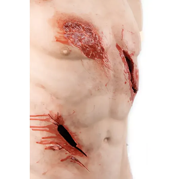 Trauma Training Torso – Εκπαιδευτικός Προπλάσμα Θώρακα για Τραύματα
