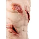 Trauma Training Torso – Εκπαιδευτικός Προπλάσμα Θώρακα για Τραύματα