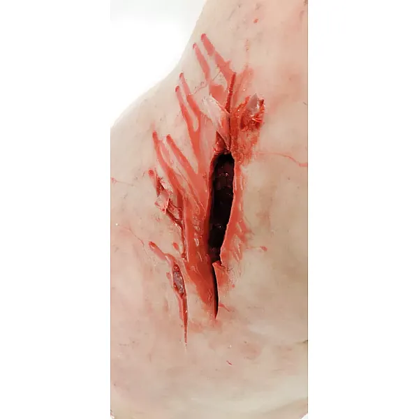 Trauma Training Torso – Εκπαιδευτικός Προπλάσμα Θώρακα για Τραύματα