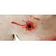 Trauma Training Torso – Εκπαιδευτικός Προπλάσμα Θώρακα για Τραύματα