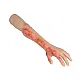Arm with Burns Task Trainer – Εκπαιδευτικό Μοντέλο Χεριού με Εγκαύματα Arm with Burns Task Trainer – Εκπαιδευτικό Μοντέλο Χεριού με Εγκαύματα