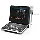 NEW MINDRAY DP-50 EXPERT ULTRASOUND