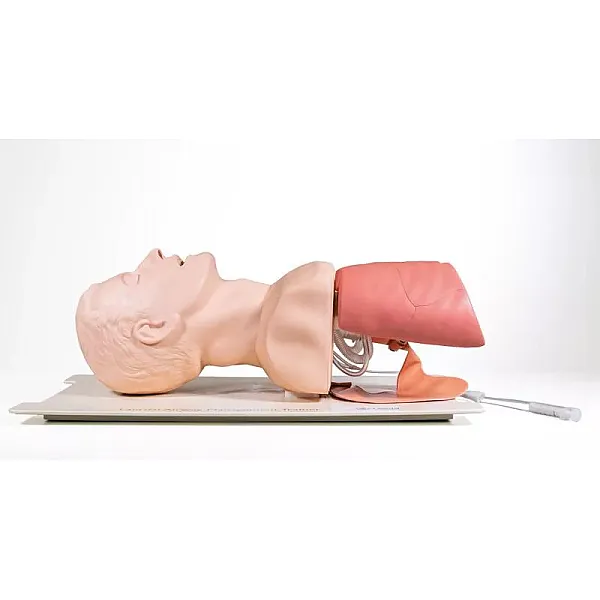 Προσομοιωτής Διαχείρισης Αεραγωγού (Airway Management Trainer) Προσομοιωτής Διαχείρισης Αεραγωγού (Airway Management Trainer)