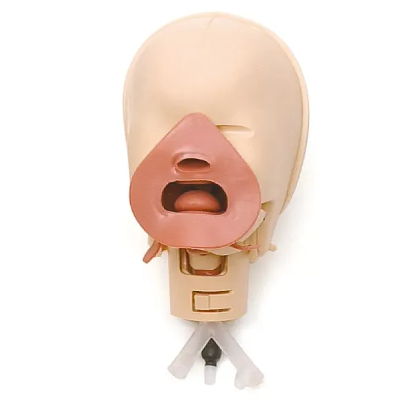 Εκπαιδευτής Διασωλήνωσης Νεογνού (Neonatal Intubation Trainer)