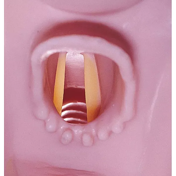 Airway Larry – Εκπαιδευτής αεραγωγού για R10052 Airway Larry – Εκπαιδευτής αεραγωγού για R10052