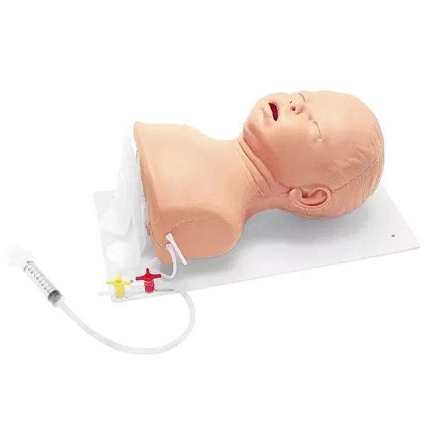 Προηγμένο Κεφάλι Διασωλήνωσης Βρέφους (Advanced Infant Intubation Head) Προηγμένο Κεφάλι Διασωλήνωσης Βρέφους (Advanced Infant Intubation Head)