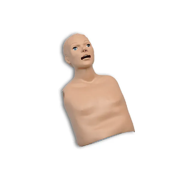 Προπλάσμα "CPR Skills Trainer Torso" Προπλάσμα "CPR Skills Trainer Torso"